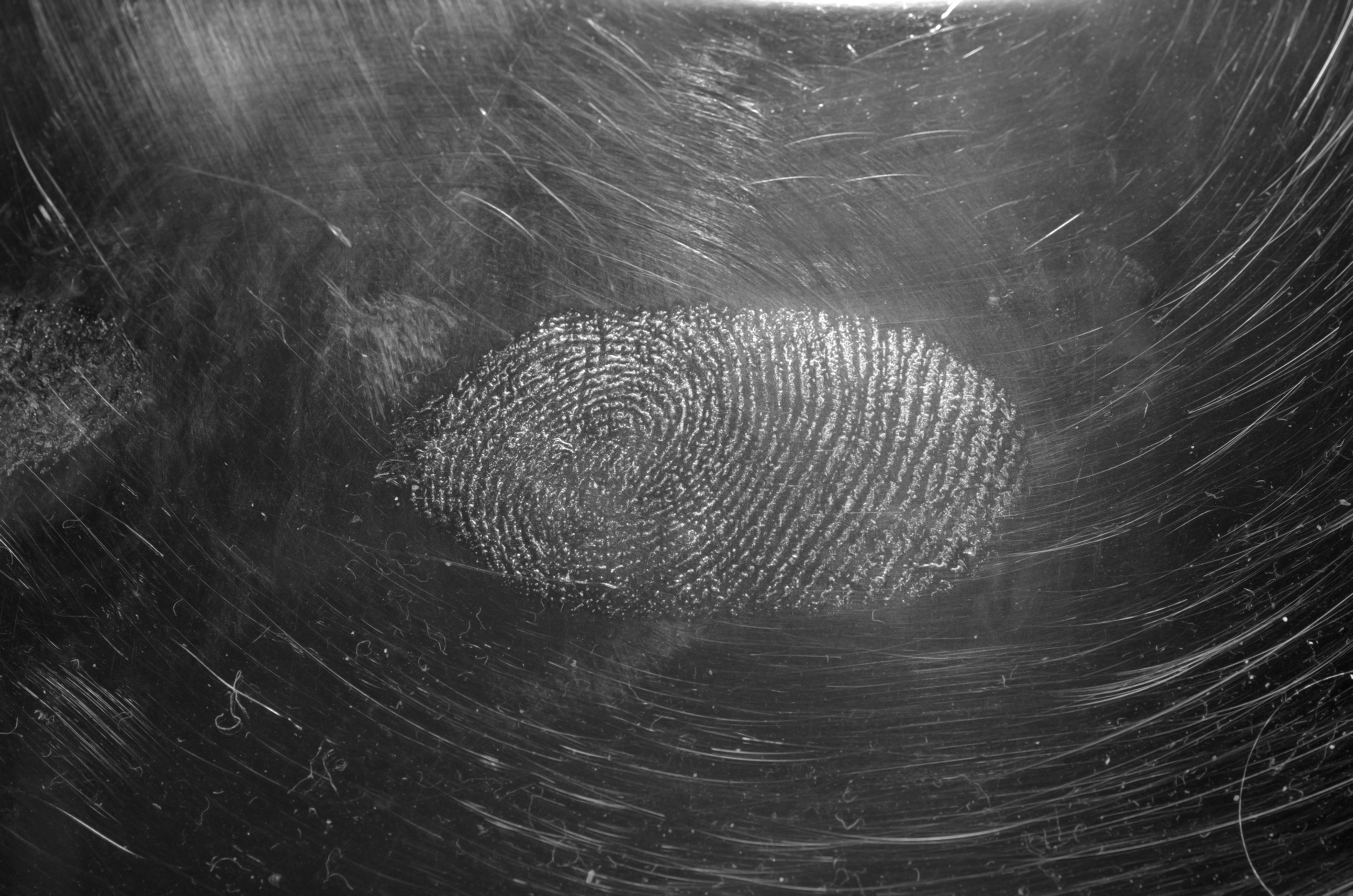 fingerprinting